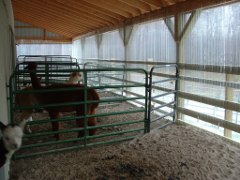 Shelter in new 52X60 barn